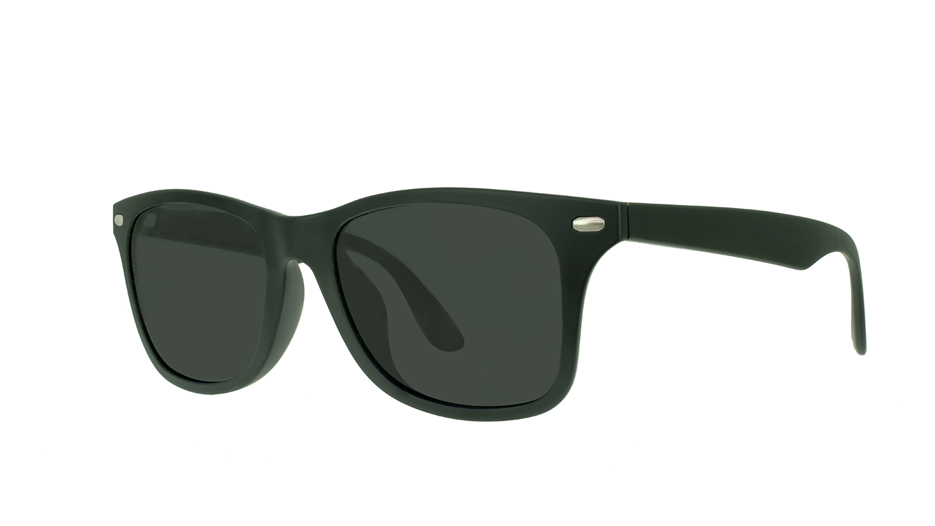EGG Polarized Wayfarer Sunglasses